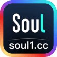 Soul成人版