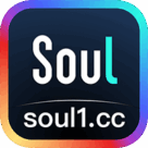 Soul成人版